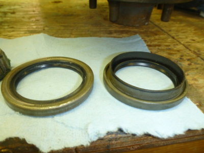 superbirdcleanup20182019 325.JPG superbirdcleanup20182019 325.JPG