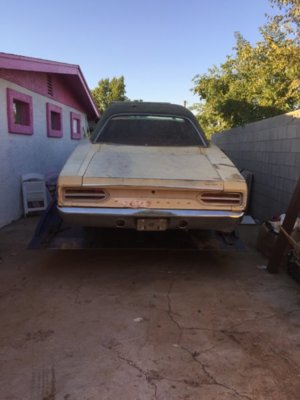 IMG_7510.JPG IMG_7510.JPG