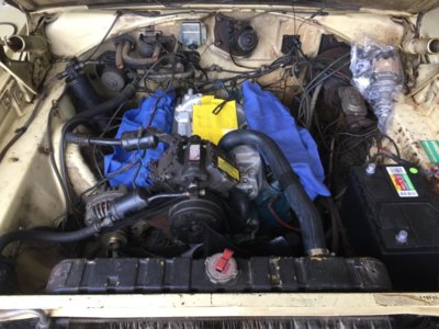 IMG_7940.JPG IMG_7940.JPG