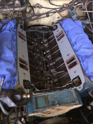 IMG_7919.JPG IMG_7919.JPG