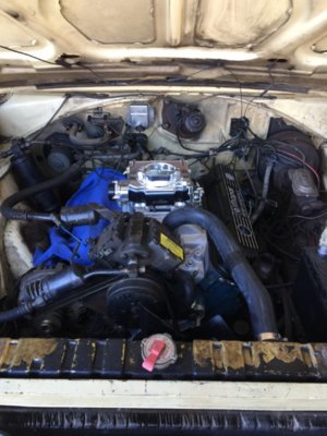 IMG_7955.JPG IMG_7955.JPG