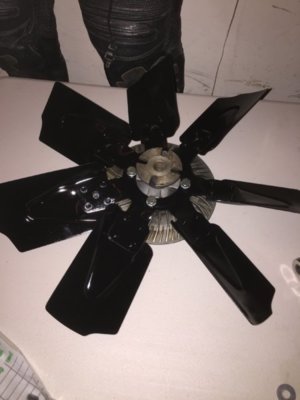 IMG_7925.JPG IMG_7925.JPG