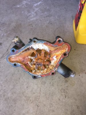 IMG_7899.JPG IMG_7899.JPG