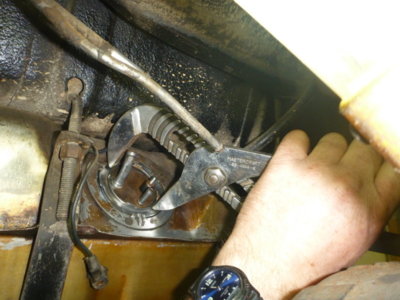 superbirdcleanup20182019 345.JPG superbirdcleanup20182019 345.JPG