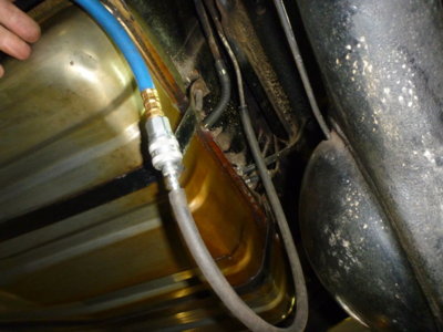 superbirdcleanup20182019 348.JPG superbirdcleanup20182019 348.JPG