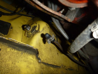 superbirdcleanup20182019 353.JPG superbirdcleanup20182019 353.JPG