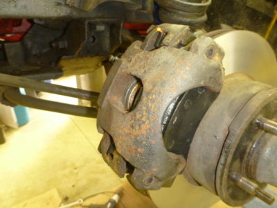 superbirdcleanup20182019 359.JPG superbirdcleanup20182019 359.JPG