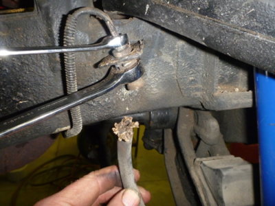 superbirdcleanup20182019 362.JPG superbirdcleanup20182019 362.JPG