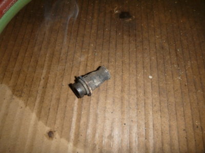 superbirdcleanup20182019 364.JPG superbirdcleanup20182019 364.JPG