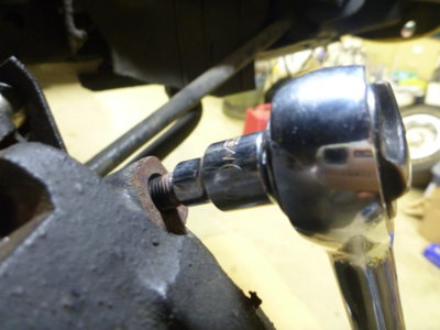 superbirdcleanup20182019 398.JPG superbirdcleanup20182019 398.JPG