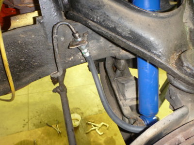 superbirdcleanup20182019 401.JPG superbirdcleanup20182019 401.JPG