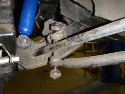 superbirdcleanup20182019 411.JPG superbirdcleanup20182019 411.JPG