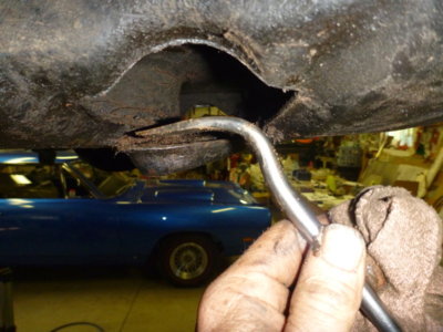 superbirdcleanup20182019 424.JPG superbirdcleanup20182019 424.JPG