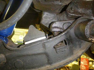 superbirdcleanup20182019 427.JPG superbirdcleanup20182019 427.JPG