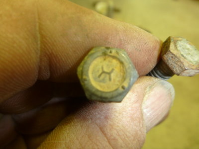 superbirdcleanup20182019 432.JPG superbirdcleanup20182019 432.JPG