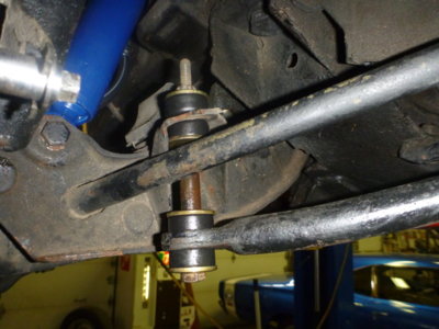 superbirdcleanup20182019 439.JPG superbirdcleanup20182019 439.JPG