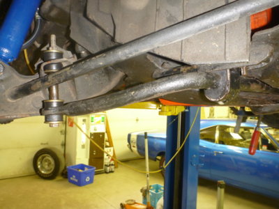 superbirdcleanup20182019 442.JPG superbirdcleanup20182019 442.JPG