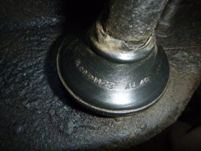 superbirdcleanup20182019 443.JPG superbirdcleanup20182019 443.JPG