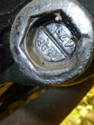 superbirdcleanup20182019 462.JPG superbirdcleanup20182019 462.JPG