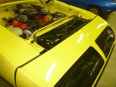 superbirdcleanup20182019 486.JPG superbirdcleanup20182019 486.JPG