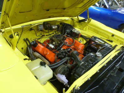 superbirdcleanup20182019 491.JPG superbirdcleanup20182019 491.JPG