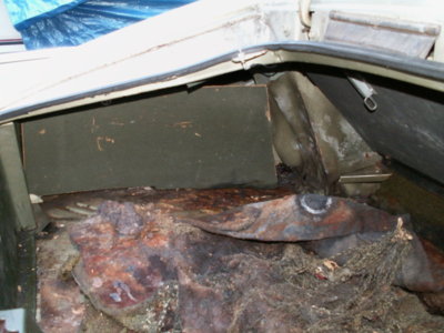 66 Charger 1-8-10 023.jpg