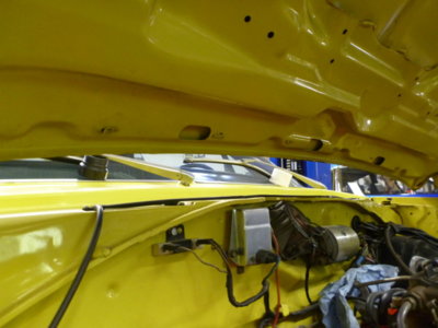 superbirdcleanup20182019 513.JPG superbirdcleanup20182019 513.JPG