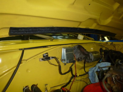 superbirdcleanup20182019 518.JPG superbirdcleanup20182019 518.JPG