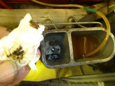 superbirdcleanup20182019 532.JPG superbirdcleanup20182019 532.JPG