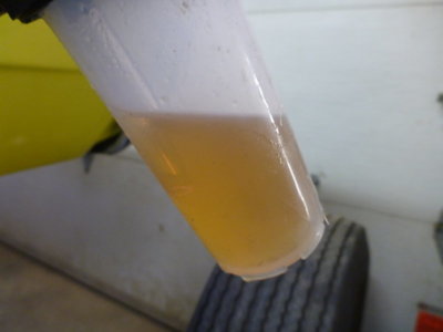 superbirdcleanup20182019 552.JPG superbirdcleanup20182019 552.JPG