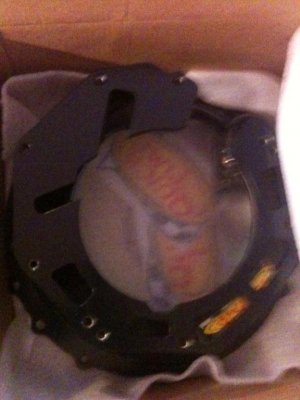 birdible viper tran scatter 215.jpg