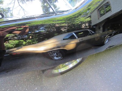 GTX 013.jpg GTX 013.jpg