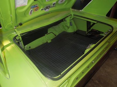 tranny trunk load birdDSCN54340101.JPG tranny trunk load birdDSCN54340101.JPG