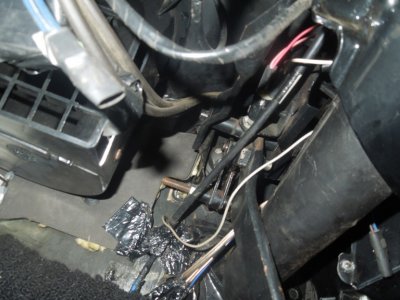 tranny trunk load birdDSCN54340106.JPG tranny trunk load birdDSCN54340106.JPG