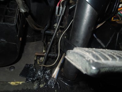 tranny trunk load birdDSCN54340108.JPG tranny trunk load birdDSCN54340108.JPG