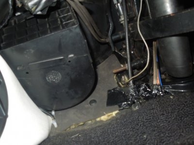 tranny trunk load birdDSCN54340111.JPG tranny trunk load birdDSCN54340111.JPG