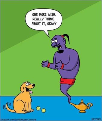 Dawg.jpg