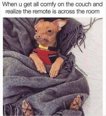 remote.jpeg