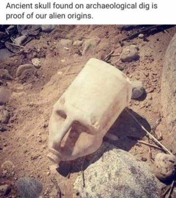 ancient-skull-found-on-archaeological-dig-is-proof-of-our-alien-origins-F9OVY.jpg