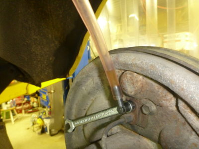 superbirdcleanup20182019 557.JPG