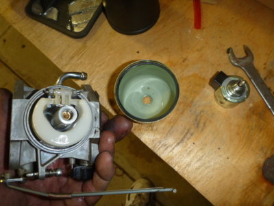 irishfieldjune122019 027.JPG