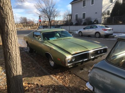 0F2147E2-D70D-431A-937B-B98AEE306466.jpeg 0F2147E2-D70D-431A-937B-B98AEE306466.jpeg