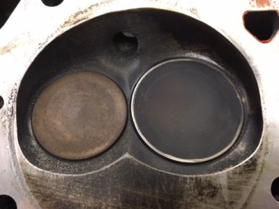 86D41602-379A-4878-8BF0-C8953309DB95.jpeg 86D41602-379A-4878-8BF0-C8953309DB95.jpeg