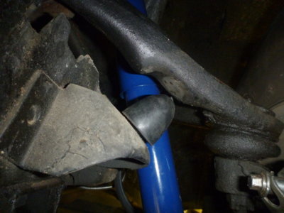 superbirdcleanup20182019 639.JPG