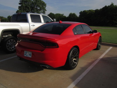 IMG_4115.JPG IMG_4115.JPG