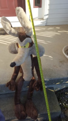 20190621_184540.jpg 20190621_184540.jpg