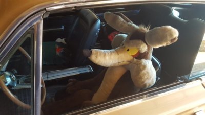 20190621_184649.jpg 20190621_184649.jpg