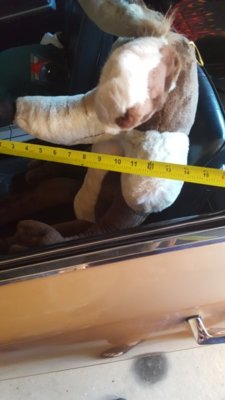 20190621_184731.jpg 20190621_184731.jpg