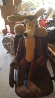 20190621_184854.jpg 20190621_184854.jpg