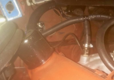 IMG_1003.jpeg IMG_1003.jpeg